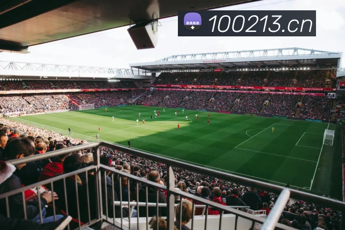 开云网页版登录入口手机版平台生态图